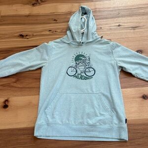 Rare Patagonia Hoodie. Size XL. No tears or stains.